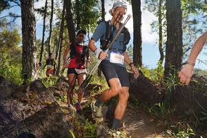 BIB: 5010
                            <button type="button" onclick="openModal(18916769)" class="btn btn-primary btn-sm float-right btn-popup" data-toggle="modal" data-target=".modal-high-quality">
                        <i class="fas fa-shopping-cart"></i> Add to Cart
                    </button>
                                            <button type="button" onclick="isThisMe(18916769, true)" class="btn btn-success btn-sm float-right btn-popup btn-isme hidden" data-toggle="tooltip" data-placement="bottom" title="นี่คือรูปของคุณใช่ไหม คลิกที่นี่เพื่อเอาเข้าอัลบั้ม">
                        <i class="fas fa-plus"></i> Add to album
                    </button>
                    <button type="button" onclick="isThisMe(18916769, false)" class="btn btn-warning btn-sm float-right btn-popup btn-isnotme hidden">
                        <i class="fas fa-ban"></i> Remove from album
                    </button>